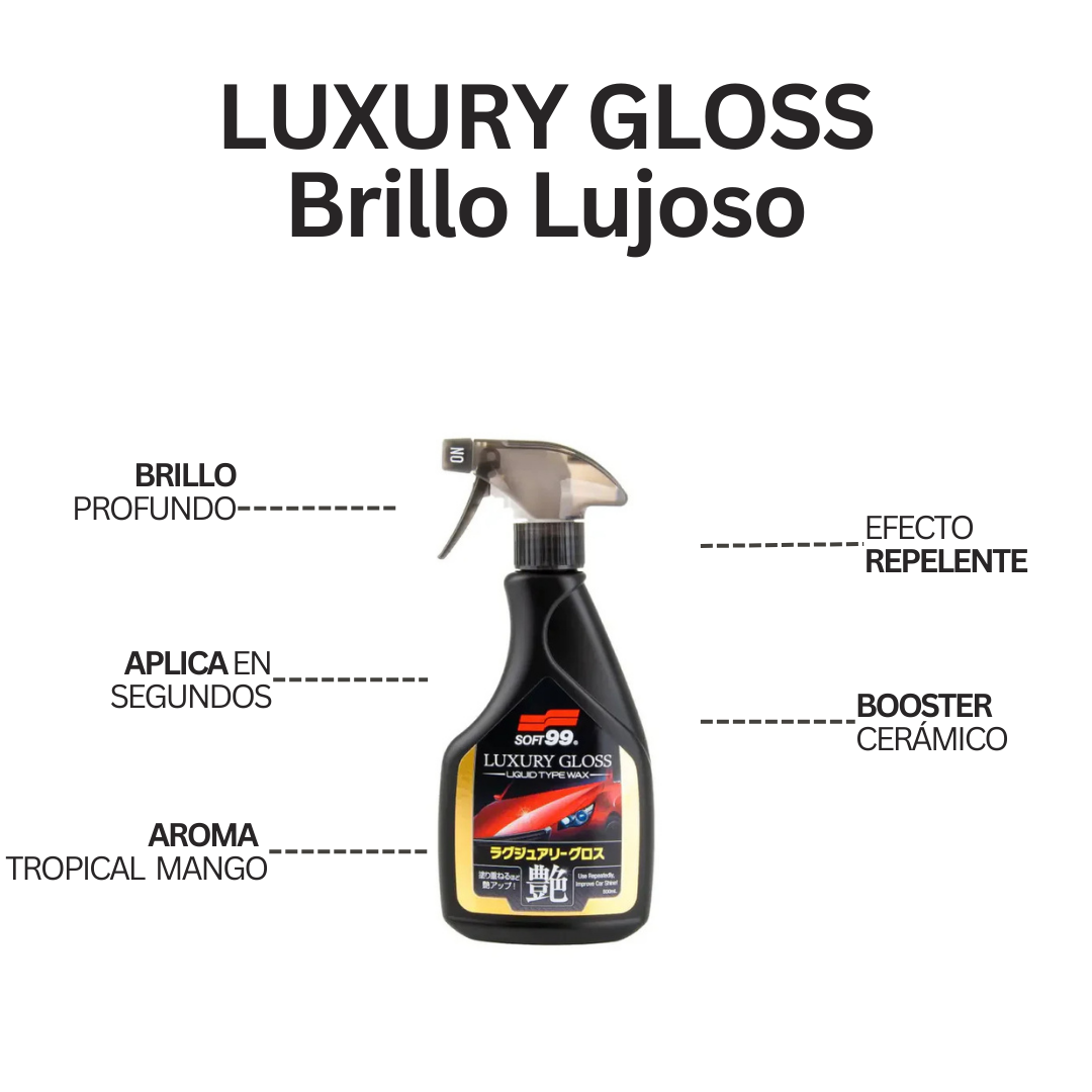 Kit Brillo Total Soft99 | Luxury Gloss + Black Magic