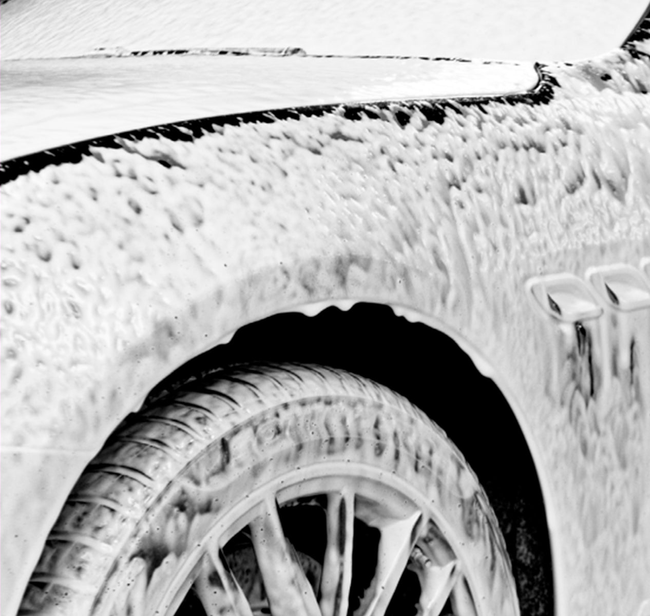 Shampoo CarPro Reset